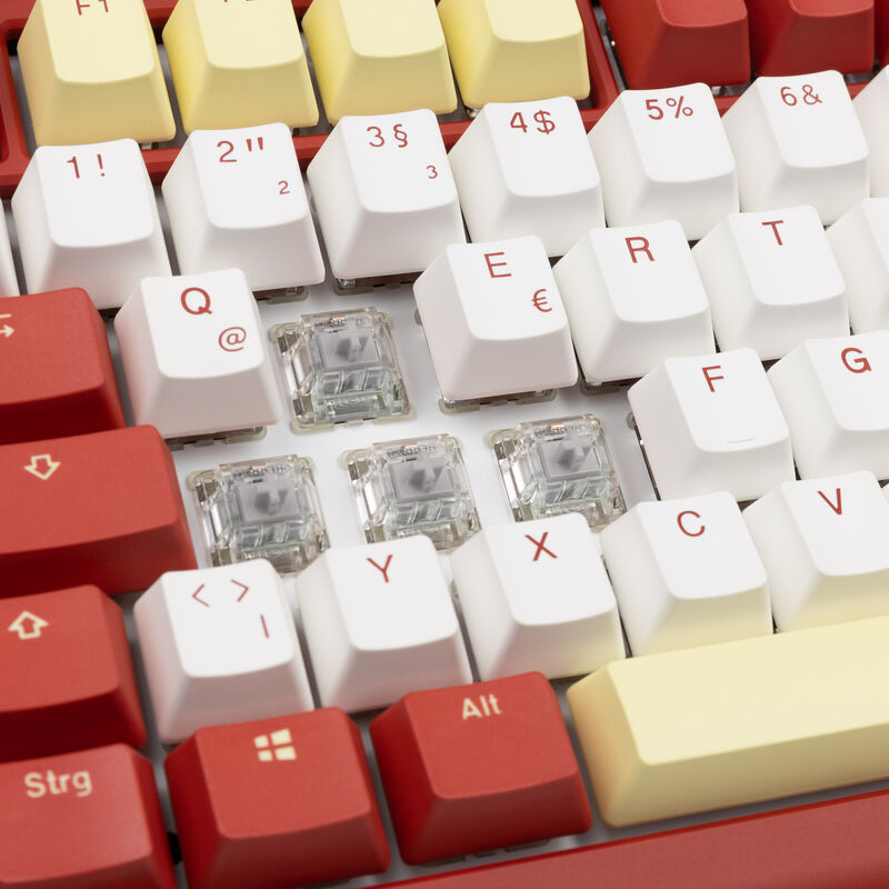 Ducky ProjectD x Fallout Tinker 75 bundle musematte MX2A Speed Silver - Ducky
