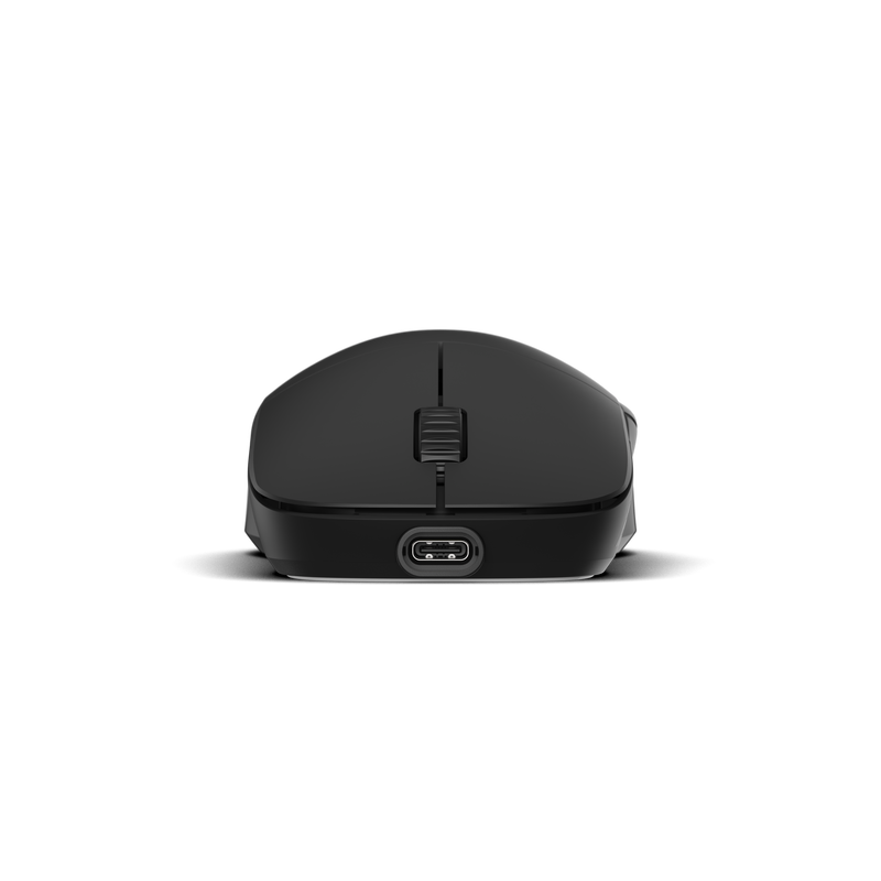 Endgame Gear XM2w 4K trådløs gamingmus PAW3395 Frost - Endgame Gear