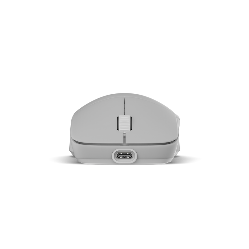 Endgame Gear XM2w 4K trådløs gamingmus PAW3395 Frost - Endgame Gear