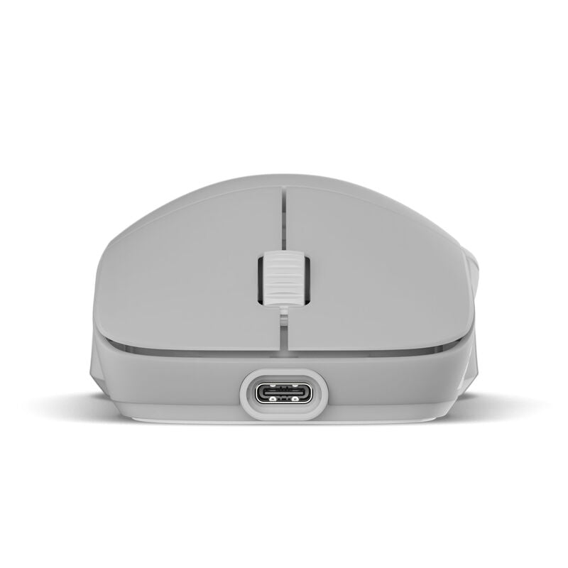 Endgame Gear XM2w 4k v2 trådløs gamingmus 4000 Hz Dark Frost - Endgame Gear