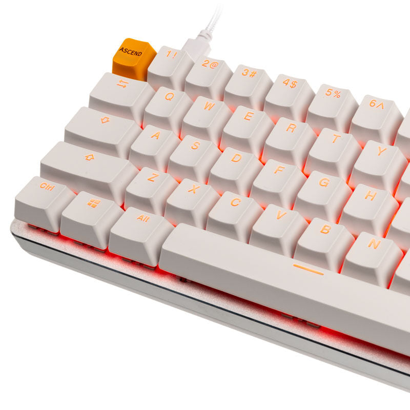 Glorious GMMK Compact Ice gamingtastatur 60% Gateron Brown - Glorious