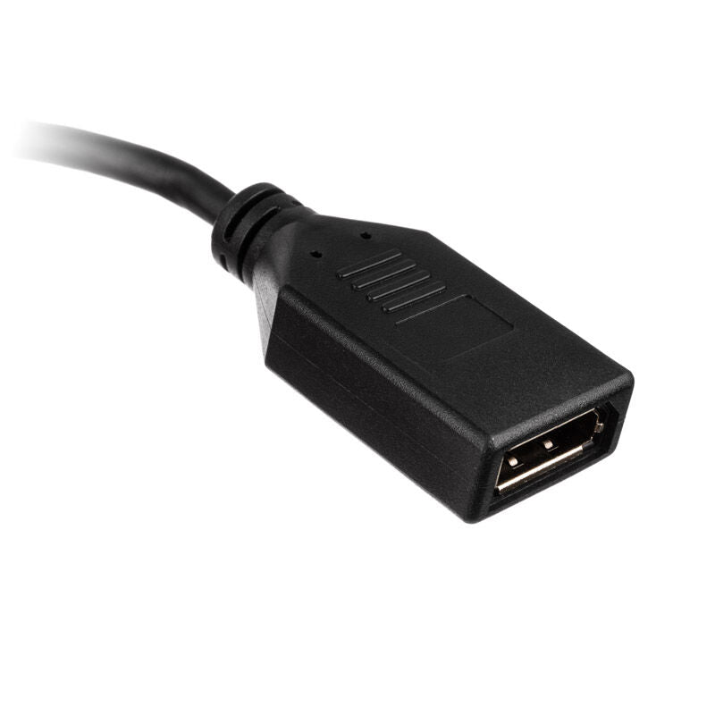 Montert Akasa HDMI til DisplayPort adapterkabel 25 cm med skjerm