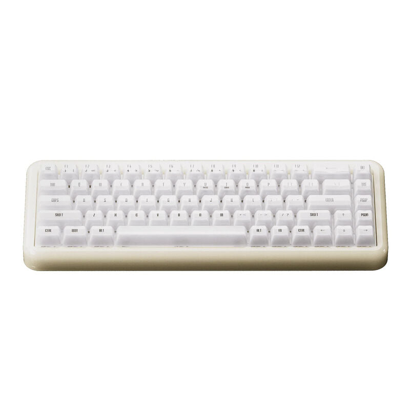 Akko YU01 White Jade gamingtastatur 65% RGB V3 detalj av taster