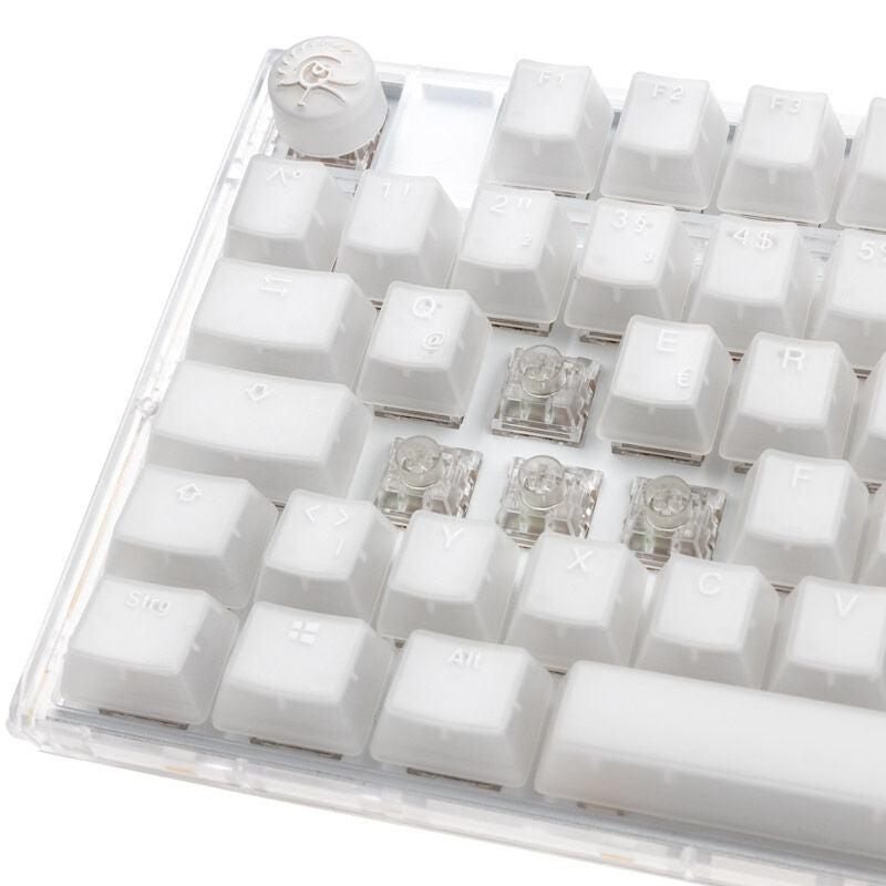 Nærbilde av pudding-tastaturtaster på Ducky One 3 Aura White