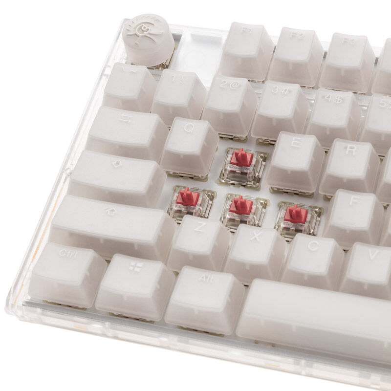 Nærbilde av Cherry MX Silent Red bryter i Ducky One 3 Aura White