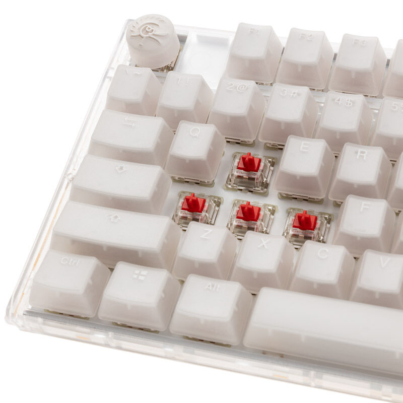 Ducky One 3 Aura White TKL tastatur detalj av RGB-belysning