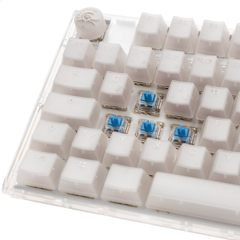 Nærbilde av Cherry MX Blue switch i Ducky One 3 Aura White TKL