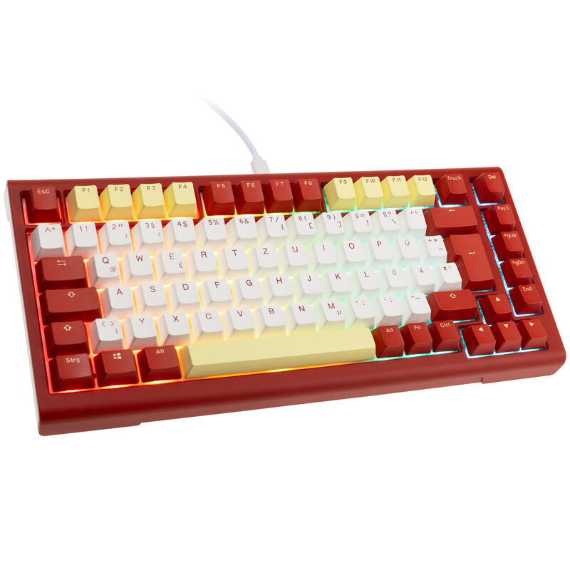 Ducky ProjectD x Fallout Tinker 75 tastatur bakside