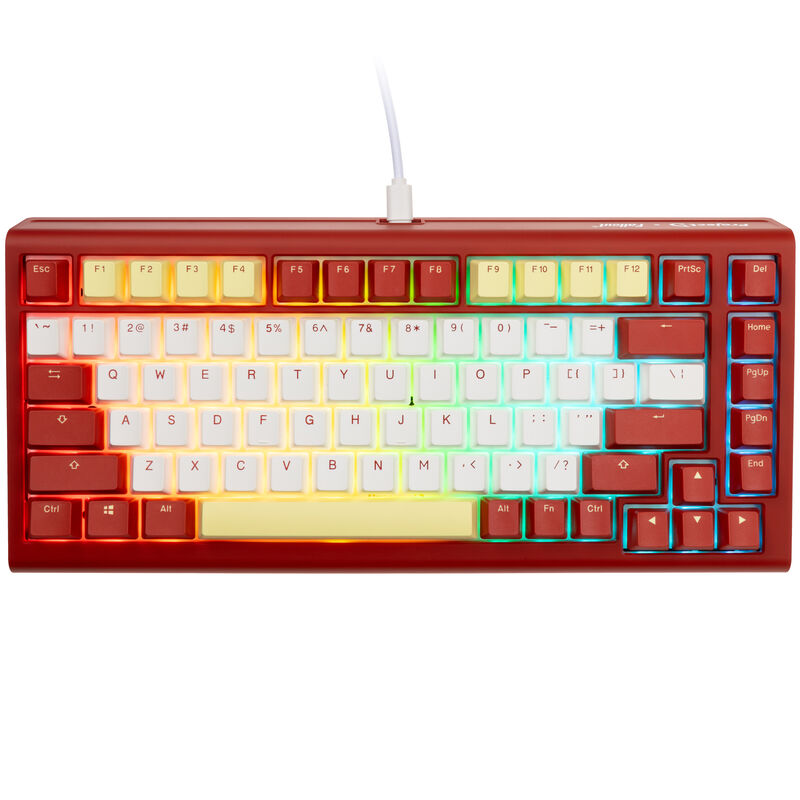 Ducky ProjectD x Fallout Tinker 75 tastatur detalj av taster