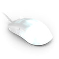 Endgame Gear OP1 RGB kablet gamingmus front