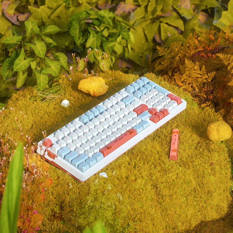 Detalj av VGN V98Pro V2 gamingtastatur Box Autumn Maple Sugar Limited RGB